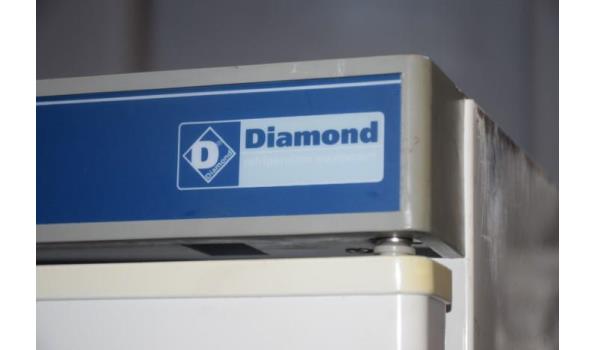 staande koelksast DIAMOND, PV600